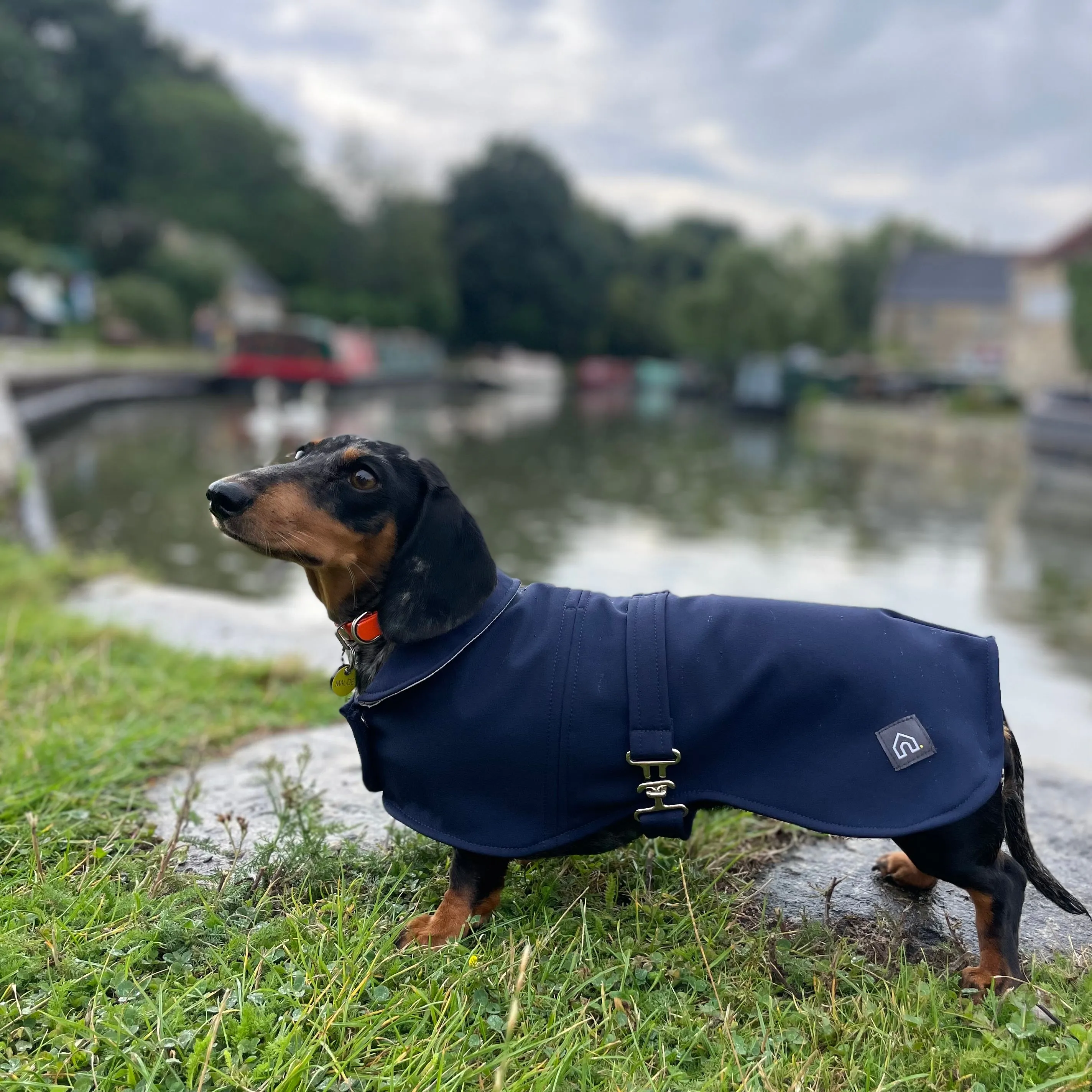 Dachshund Waterproof Coat