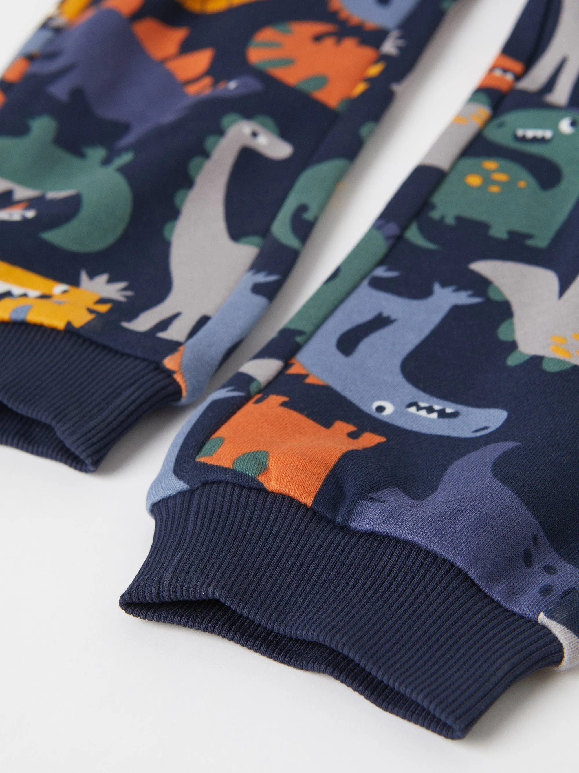 Dinosaur Print Kids Joggers