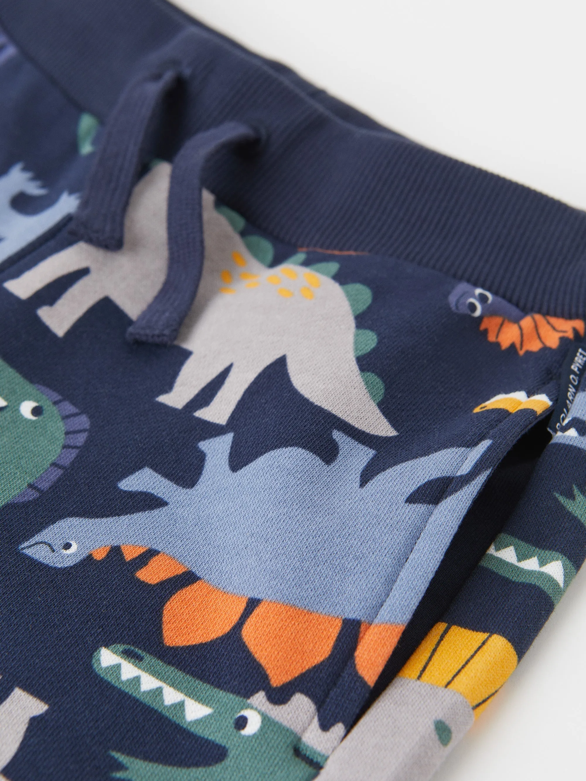 Dinosaur Print Kids Joggers